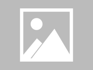 金融科技与产品创新，双轮驱动的数字未来
